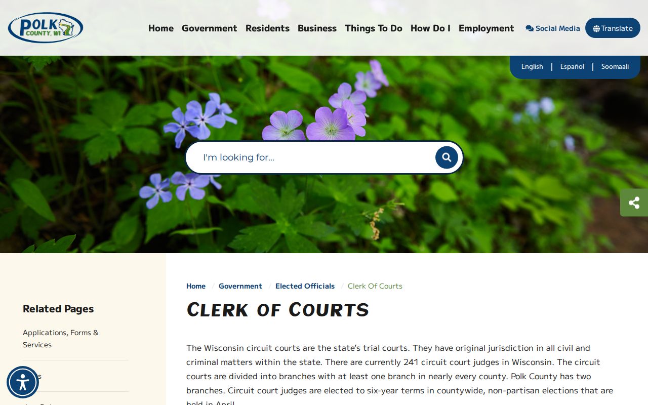 Polk County criminal court cases clerk office page
